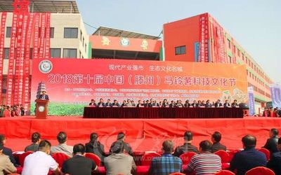 2018第十届中国(滕州)马铃薯科技文化节开幕